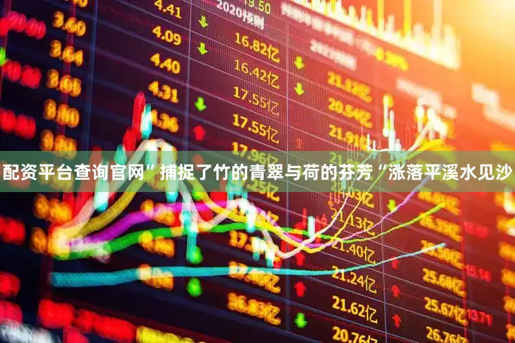 配资平台查询官网”捕捉了竹的青翠与荷的芬芳“涨落平溪水见沙