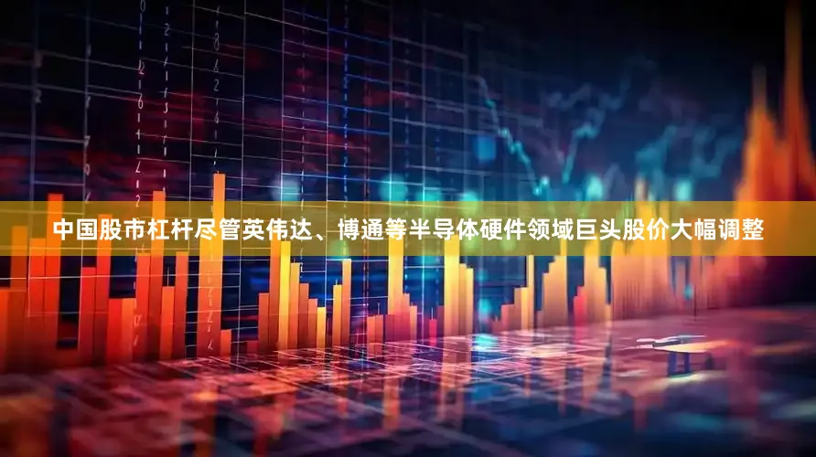 中国股市杠杆尽管英伟达、博通等半导体硬件领域巨头股价大幅调整